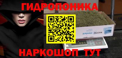 мдпв Лесосибирск