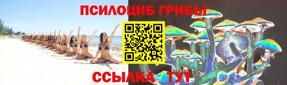 Галлюциногенные грибы мухоморы  Вход с VPN  Галлюциногенные грибы Psilocybine cubensis  Тулун 